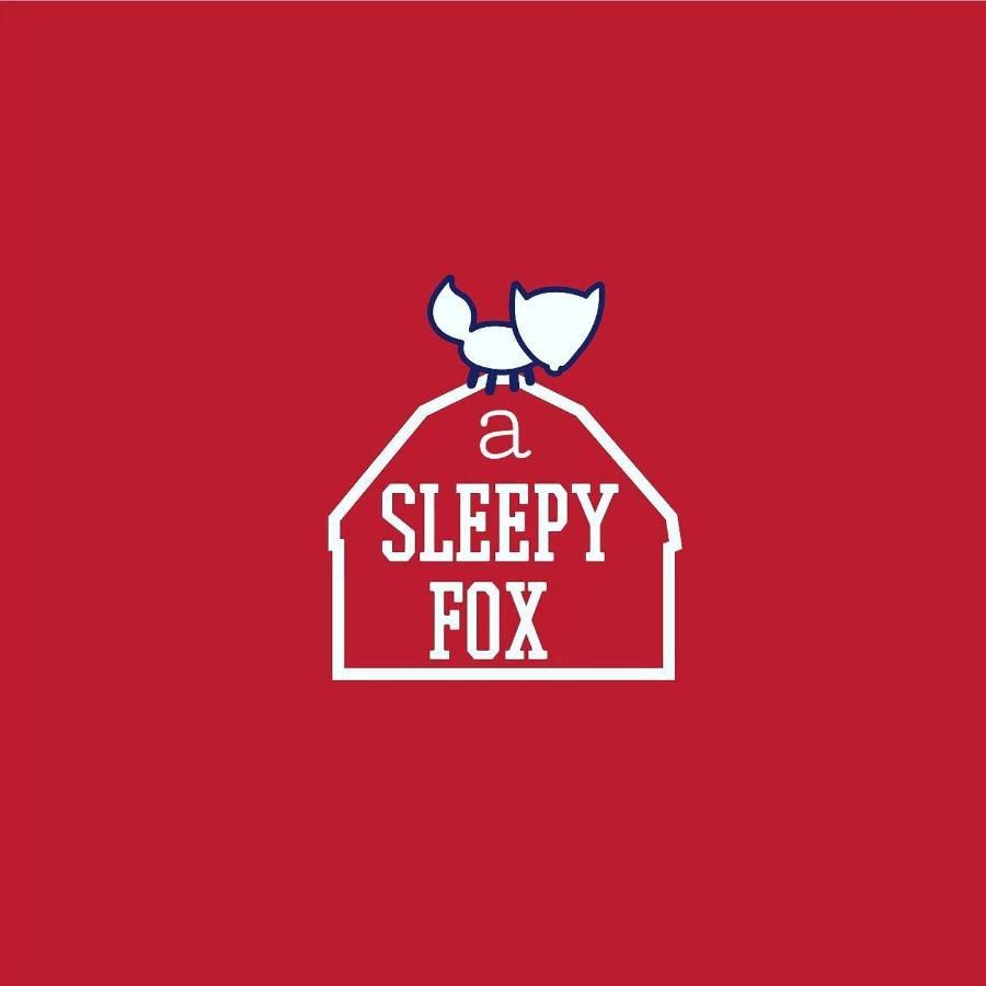 A Sleepy Fox Vandrehjem New Delhi Eksteriør billede