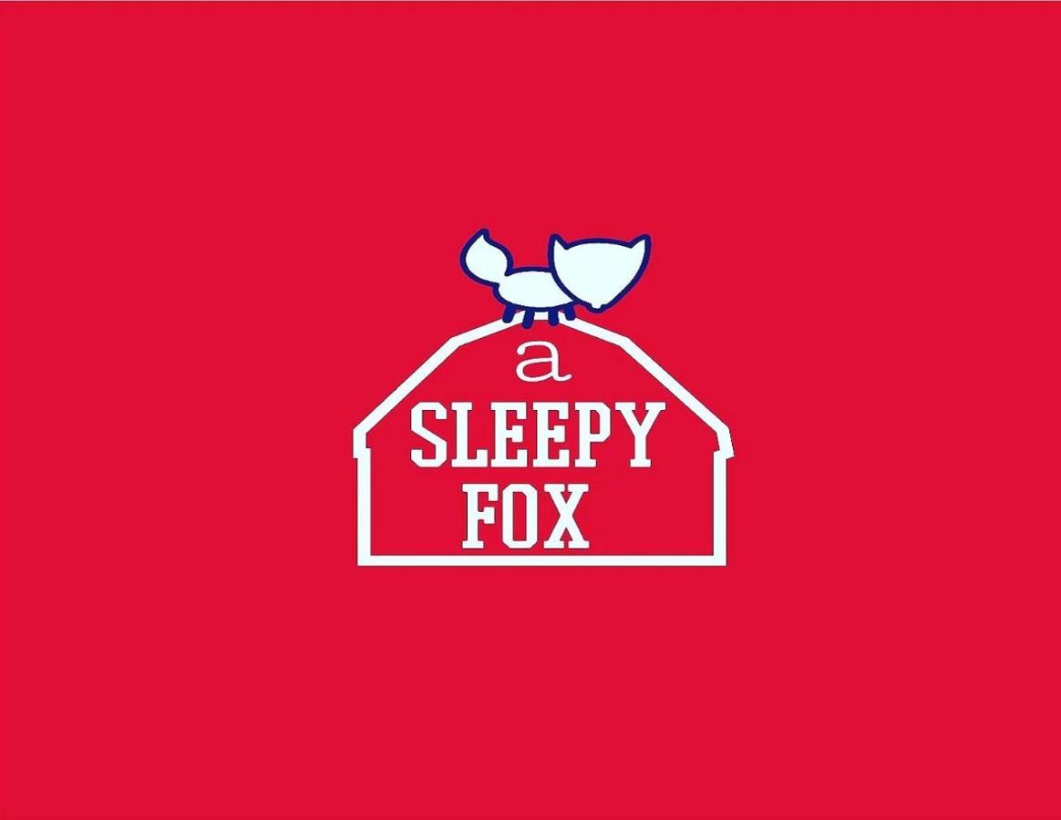 A Sleepy Fox Vandrehjem New Delhi Eksteriør billede